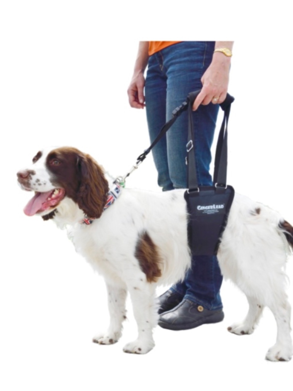 GingerLead Dog Sling Support Harness